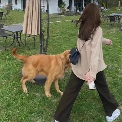 纳粹狼的闪电战